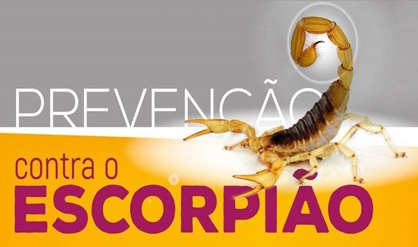 201925_combate-aos-escorpiões-1